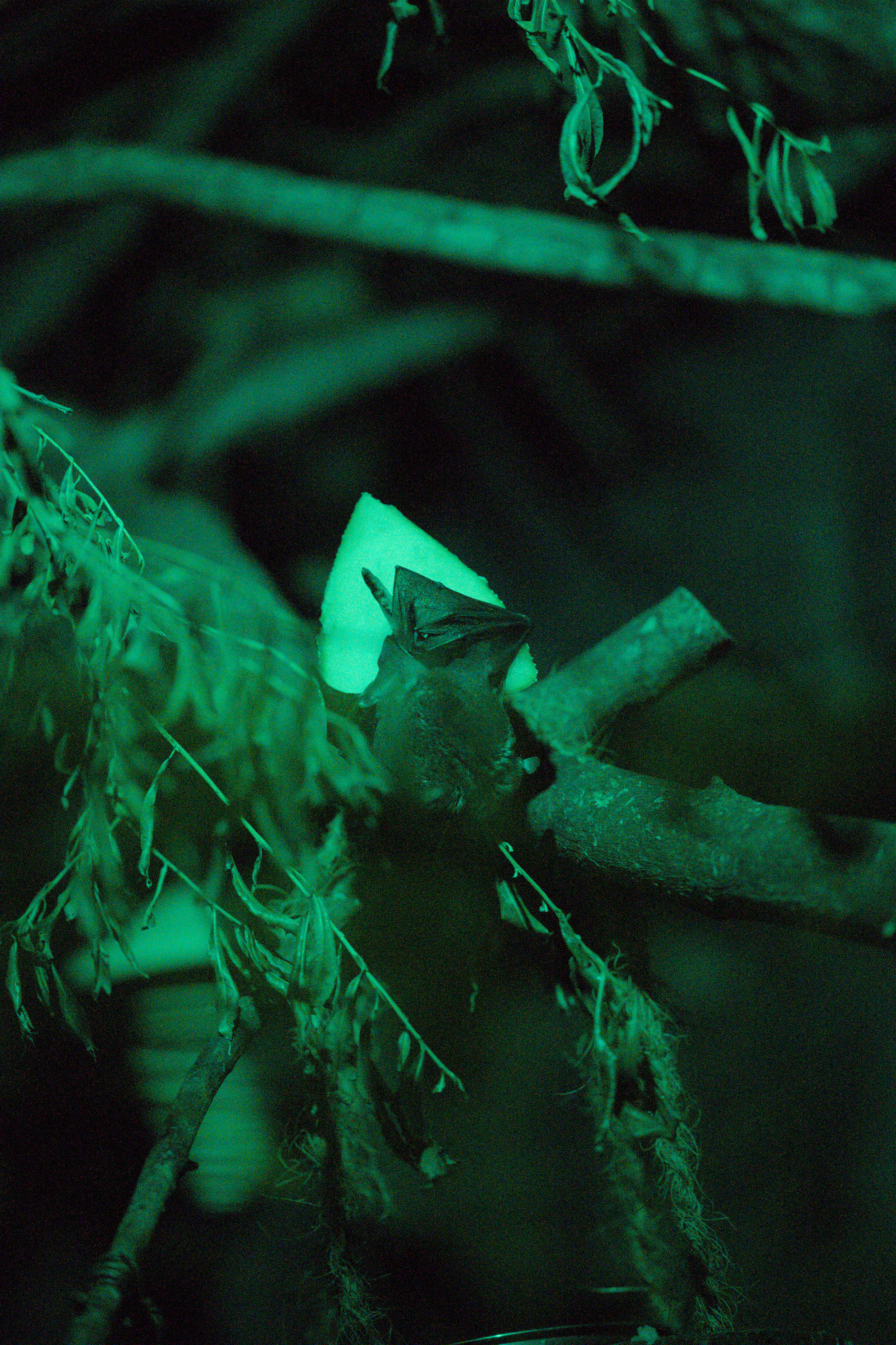 2025/10/12 - zoo/DSC_0270.jpg